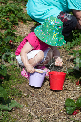 Kleinkind auf dem Erdbeerfeld