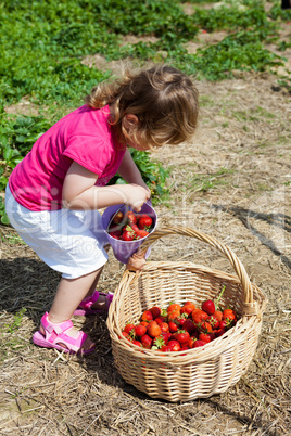 Kleinkind mit Erdbeeren