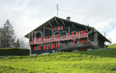 Typical swiss house