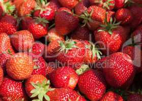 Nahaufnahme Erdbeeren