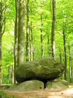 Stone dolmen in green beechforest