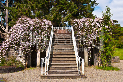 Armadale Castle Gardens