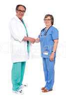 Senior medical persons shaking hands