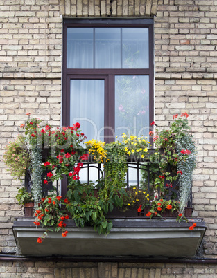 Flowered balcony