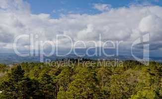 view over forest with cloudy sky