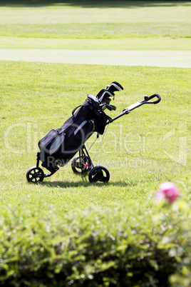 golfbag Schläger auf einem Golfplatz im Sommer