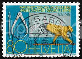 Postage stamp Switzerland 1982 Bern Museum of Natural History