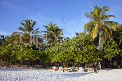 Beach vacation