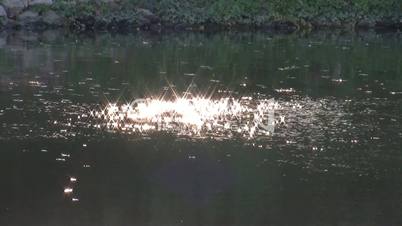Reflektierende Sonne im Wasser