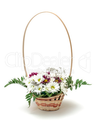 Vibrant Flowers Daisies in Basket