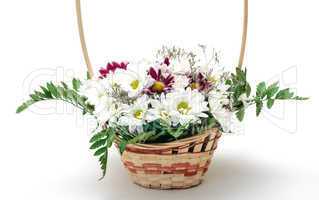 Vibrant Flowers Daisies in Basket