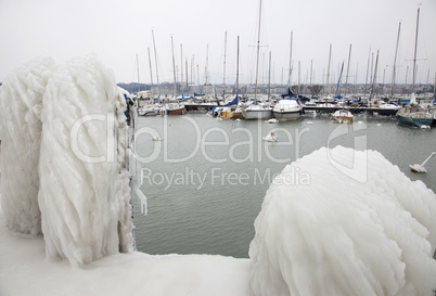 Frozen landscape