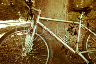 Fahrrad am Baum