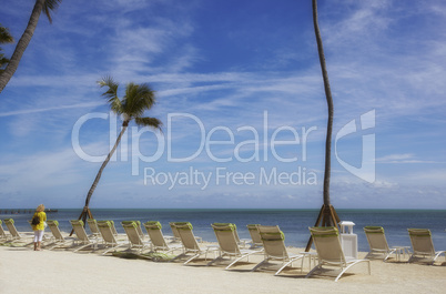 Canvas Chairs and palms on tropical beach