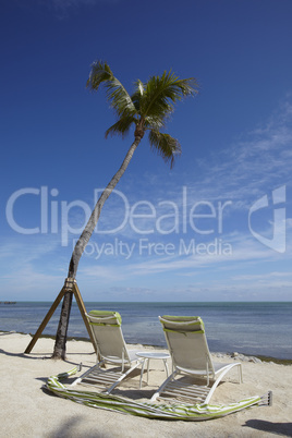 Canvas Chairs and palms on tropical beach