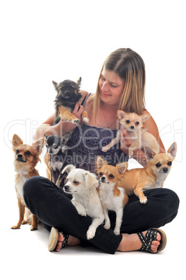 girl and chihuahuas