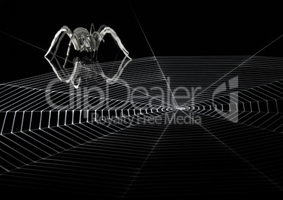 lurking metallic spider and web
