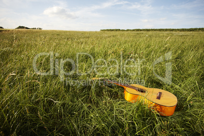 Wooden guitar lying in grassy field
