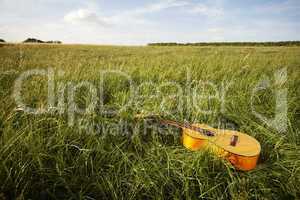 Wooden guitar lying in grassy field