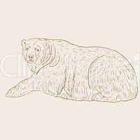 White Polar Bear. Vector illustration.