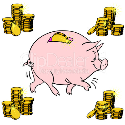 Pig piggy bank