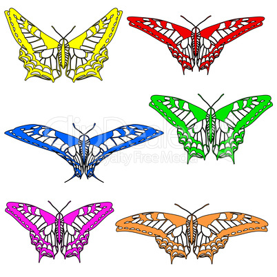 Vector set of beautiful butterflies.