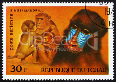 Postage stamp Chad 1972 Mandrills, African Wild Animals