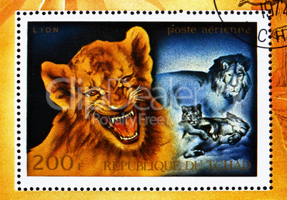 Postage stamp Chad 1972 Lion Cub, African Wild Animals