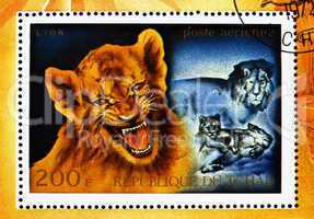 Postage stamp Chad 1972 Lion Cub, African Wild Animals