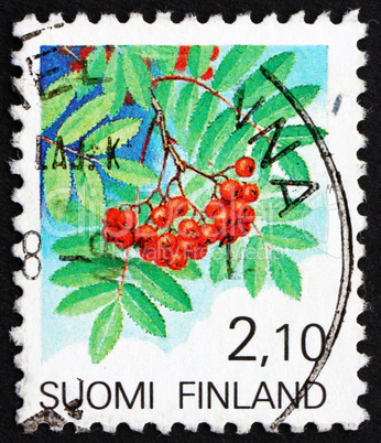 Postage stamp Finland 1991 European Rowan Fruit