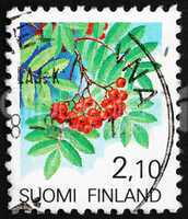 Postage stamp Finland 1991 European Rowan Fruit