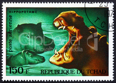 Postage stamp Chad 1972 Hippopotamuses, African Wild Animals