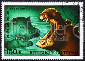 Postage stamp Chad 1972 Hippopotamuses, African Wild Animals