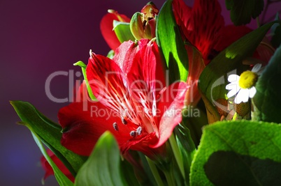 Lilie in einem Blumenstrauss