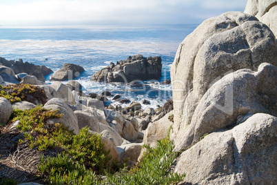 Pacific Ocean shoreline with rocks and shrubs.