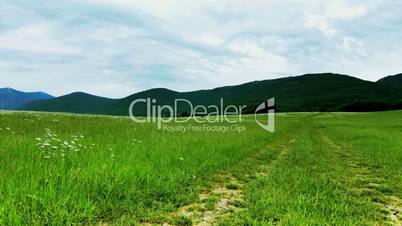 green field and cloudy sky