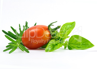 rosemary tomato basilicum