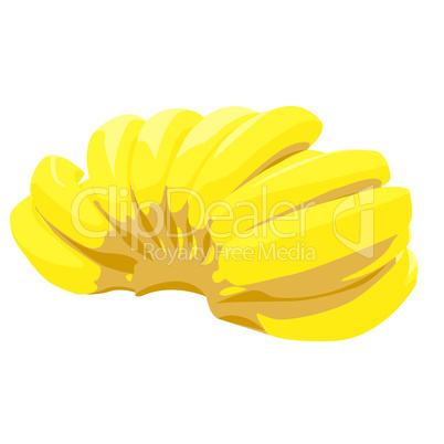 Bunch of bananas isolated on white background