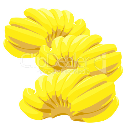 Three bunch of bananas isolated on white background