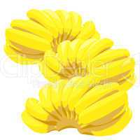 Three bunch of bananas isolated on white background