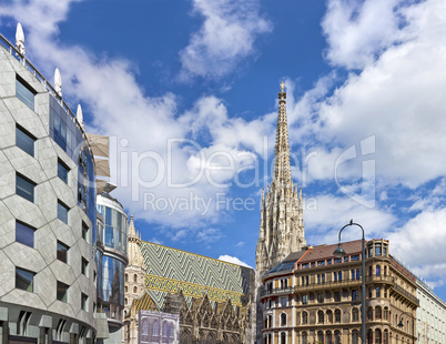 The Vienna Stephansdom