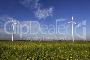 Wind Turbines with blue sky and the sun shining on green