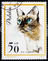 Postage stamp Poland 1963 Siamese Cat