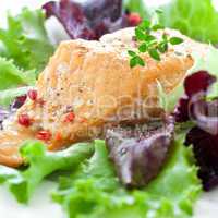 frischer Salat mit Lachs / fresh salad with smoked salmon