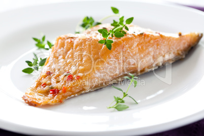 Lachs / salmon