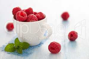 Himbeeren / raspberries