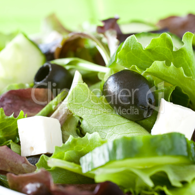 Salat mit Oliven / salad with olives