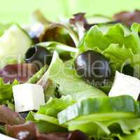 Salat mit Oliven / salad with olives