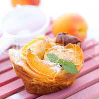 Kuchen mit Aprikose / cake with apricots