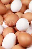 Weisse und braune Eier